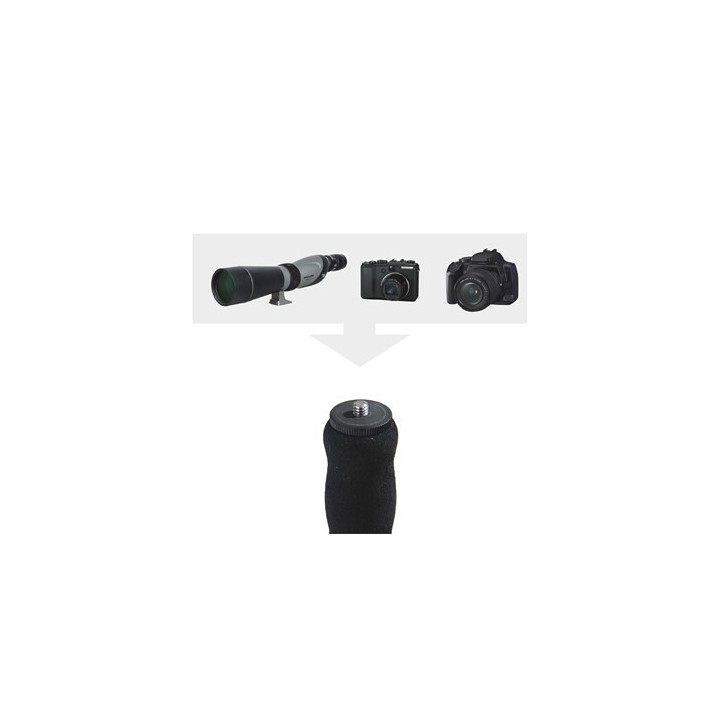 Pastorał Vanguard Pro M72