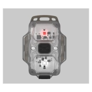 Latarka  Armytek Crystal Grey 150lm Zimny / 30lm Czerwony